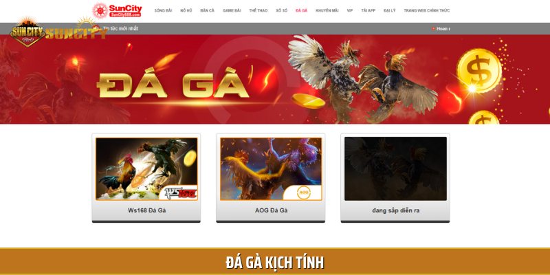 Đá gà là nơi mà kê thủ sẽ được chiêm ngưỡng những trận chiến kinh điển