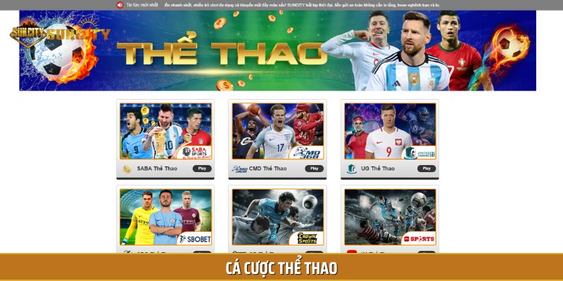 Thể thao là bộ môn cá cược có số lượng người truy cập đông đảo